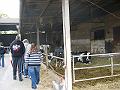 05 Visita Allevamento